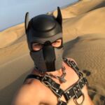 Original Pup Sneaky Porn Videos