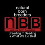 Original Natural Born Breeders Porn Videos